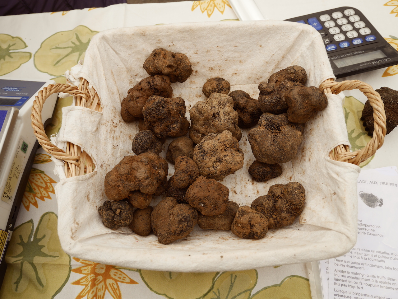 Truffes noires