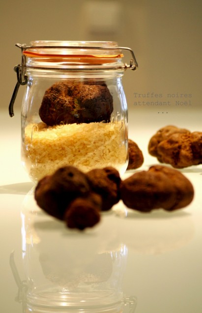 Truffes noires et risotto