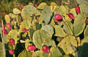 IMG_6964_fotor_fotor
