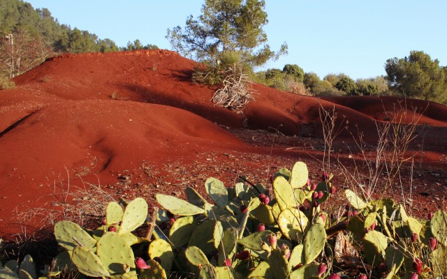 Dunes de boxite