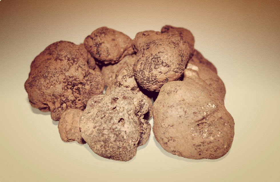 Truffes noires