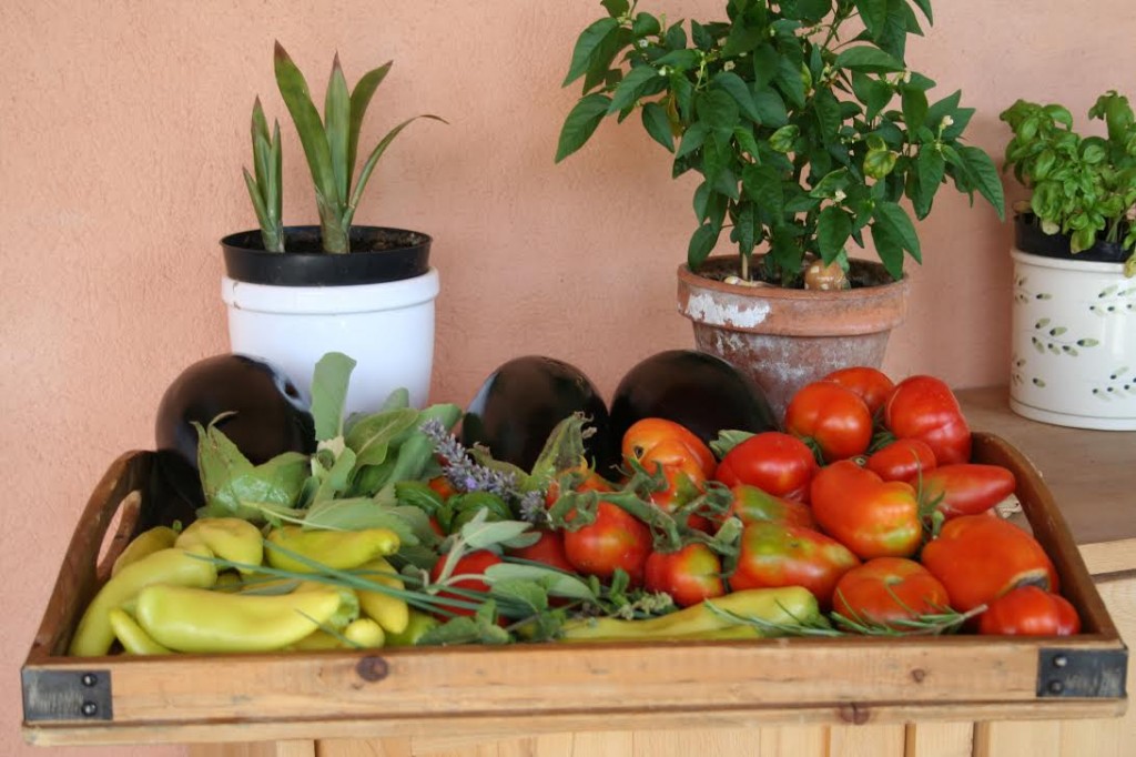 Légumes potager provençal