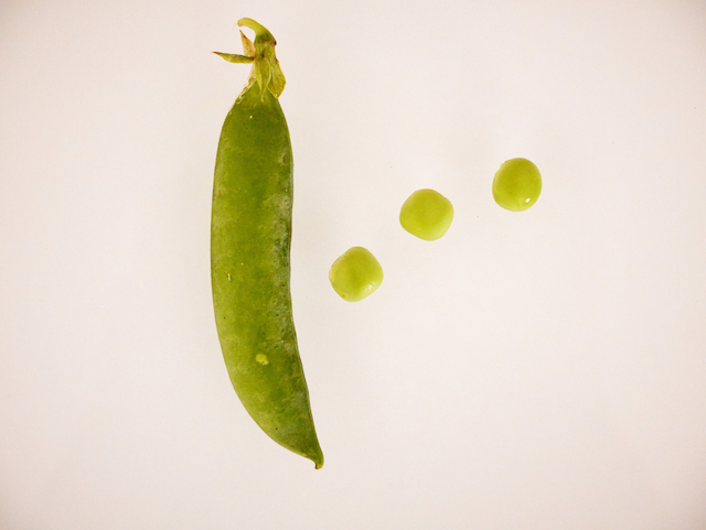 Petits Pois pour terrine