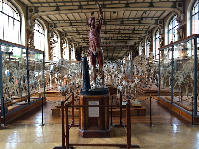 Promenade sur les bords de Seine Muséum d'histoire naturelle