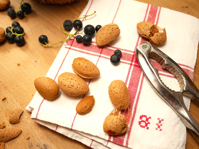 fruit d'automne amandes