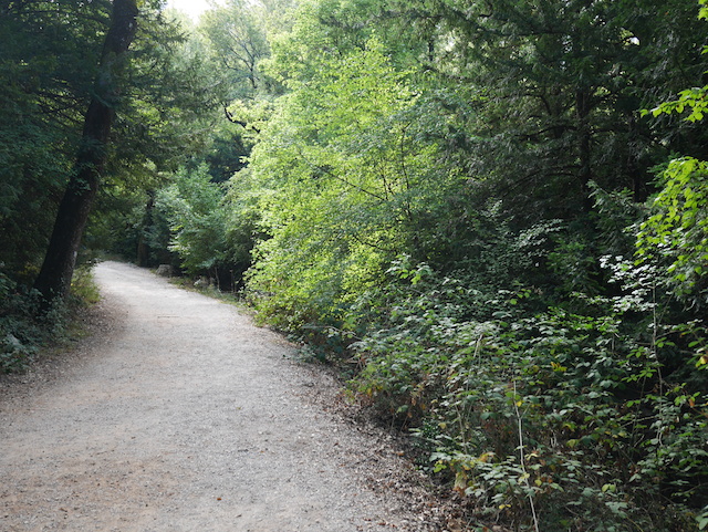 Sainte Baume chemin de Roys