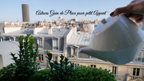 Gain de place - by Rose Philange