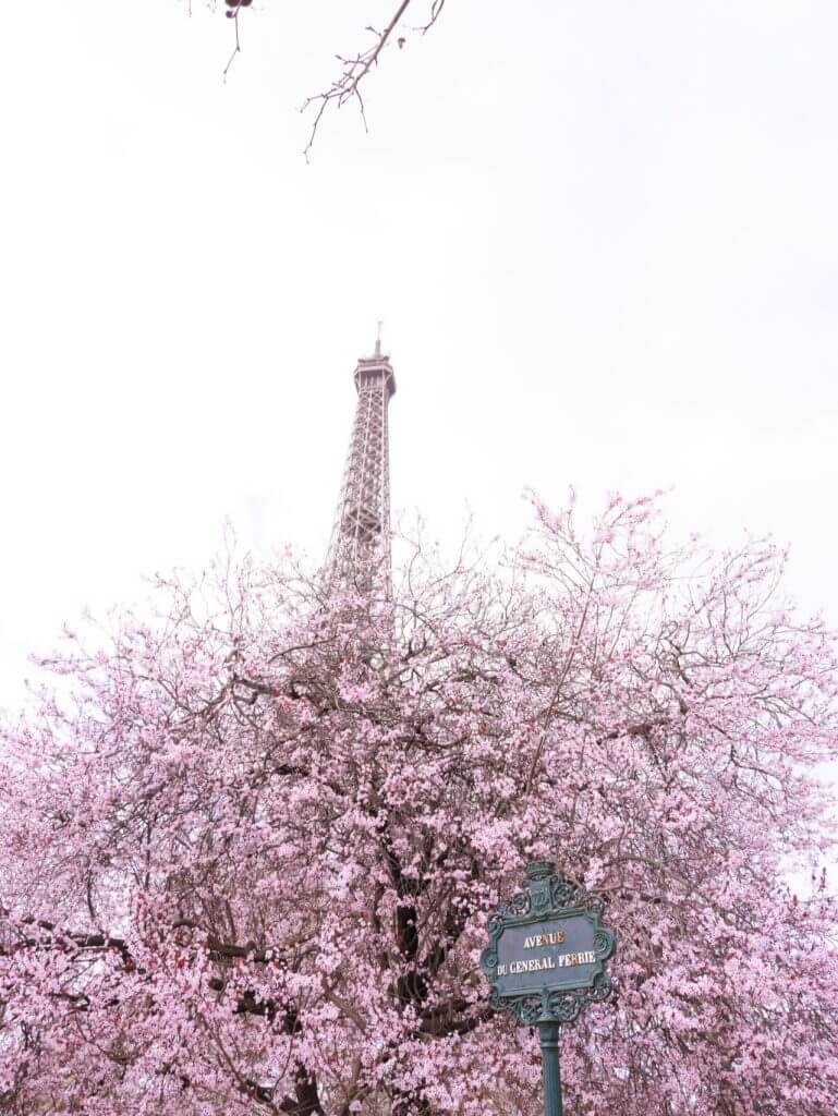 paris sorties rose philange